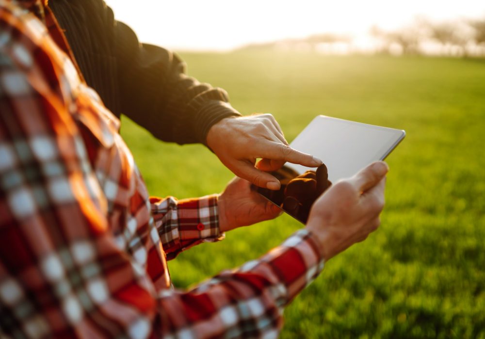 Farmers with tablet in the field. Farmers using touch pad for check wheat quality in the field.